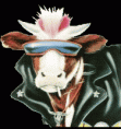 /album/galerie-de-photos-les-vaches/woyv6cdh-1-gif/